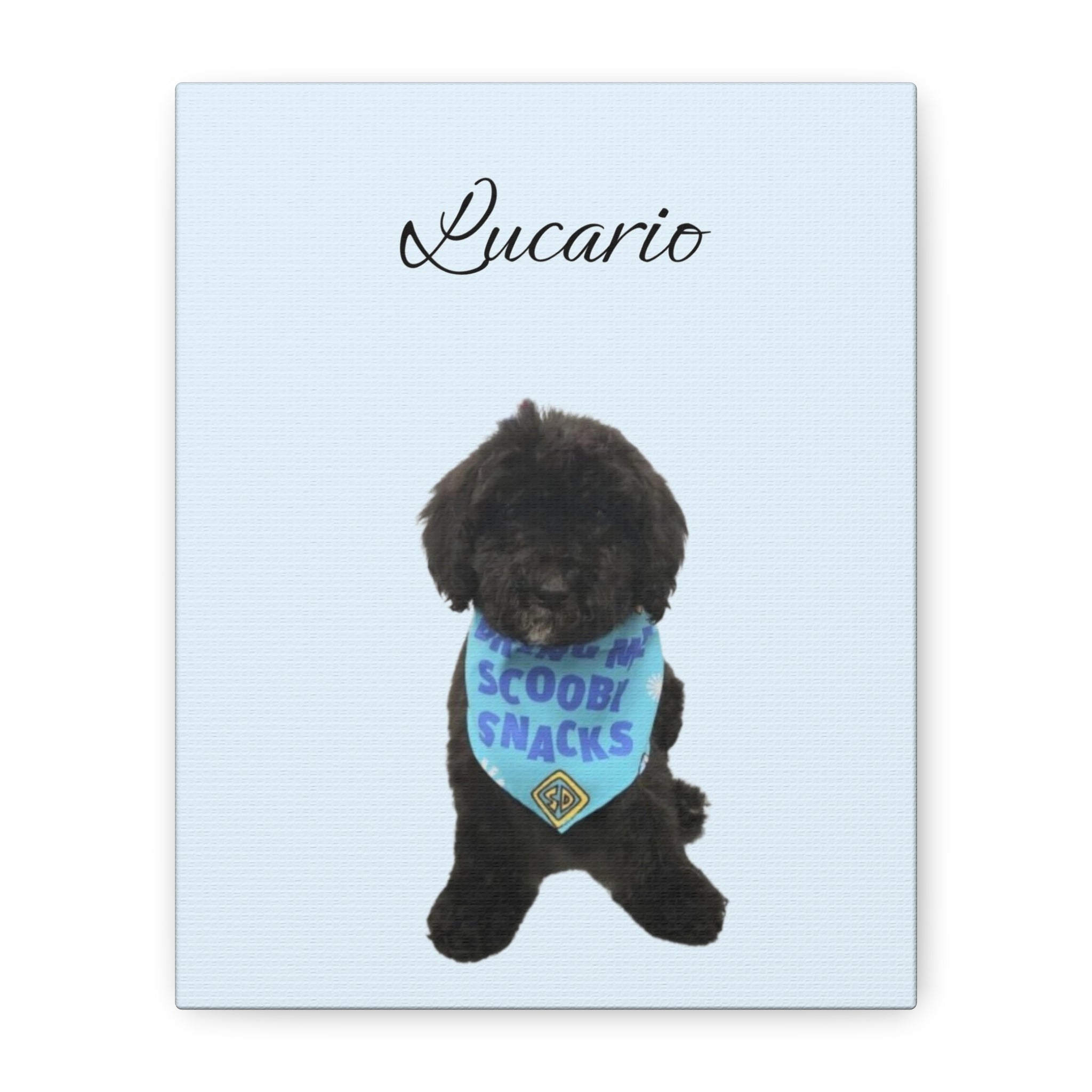 Pet Portrait - Custom Pet Gift with Photo and Name